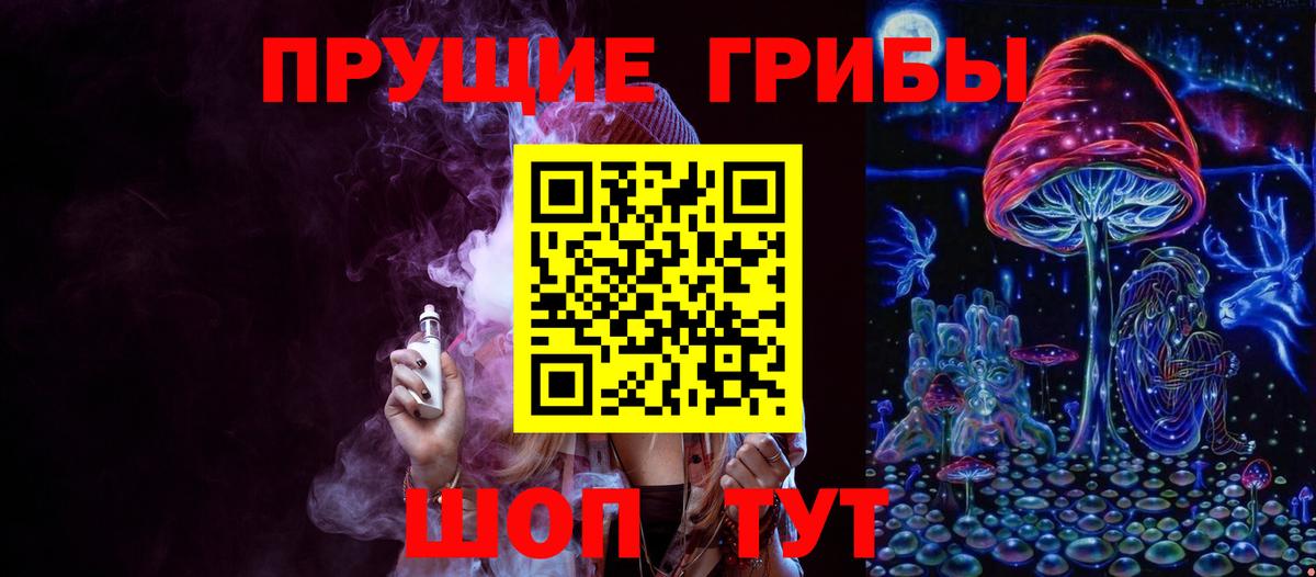 как найти   Псилоцибиновые грибы ЛСД  Вход с VPN  Псилоцибиновые грибы мицелий  Пенза 